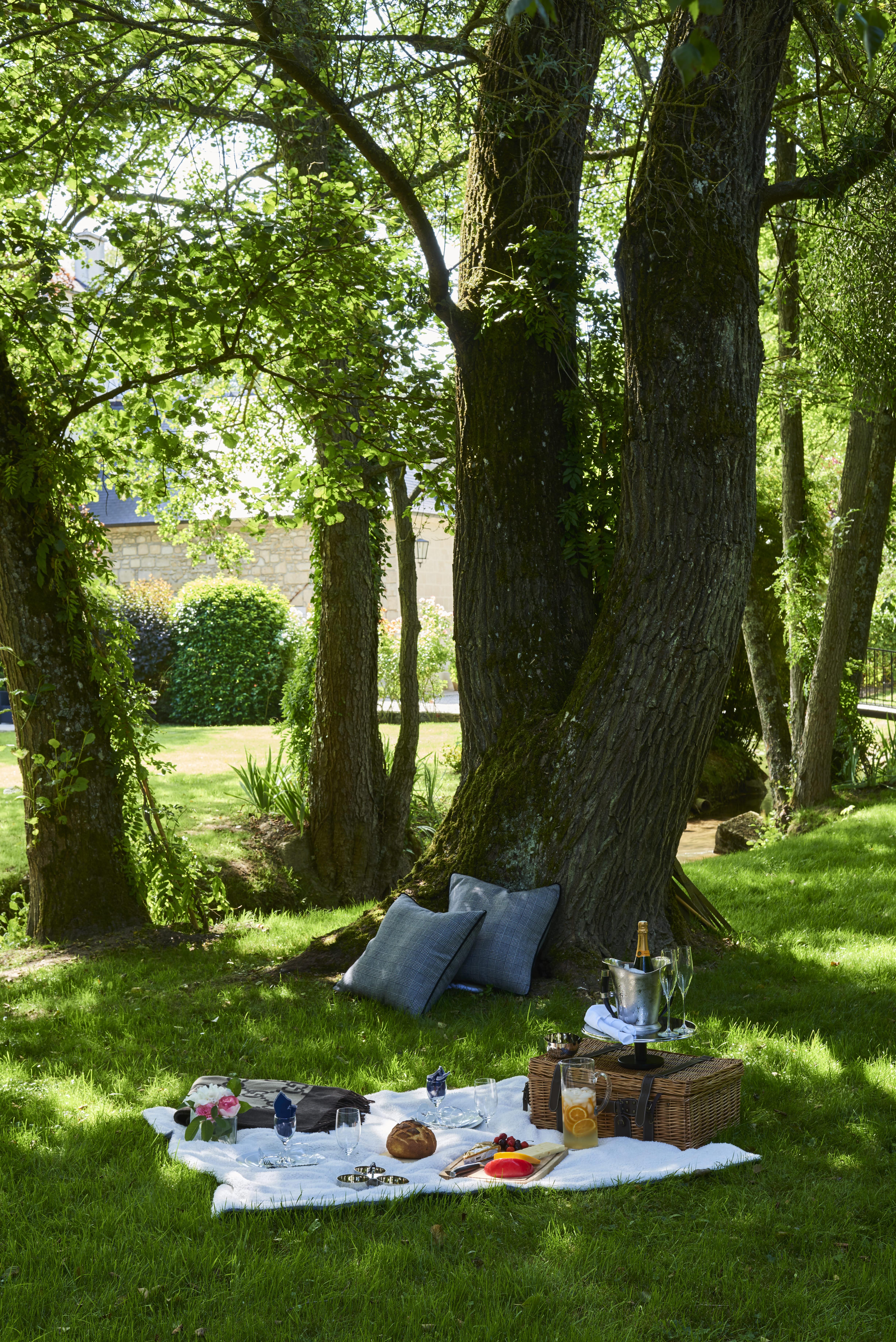 Moulin Royale Bed & Breakfast Saint-Etienne-Roilaye Exterior photo